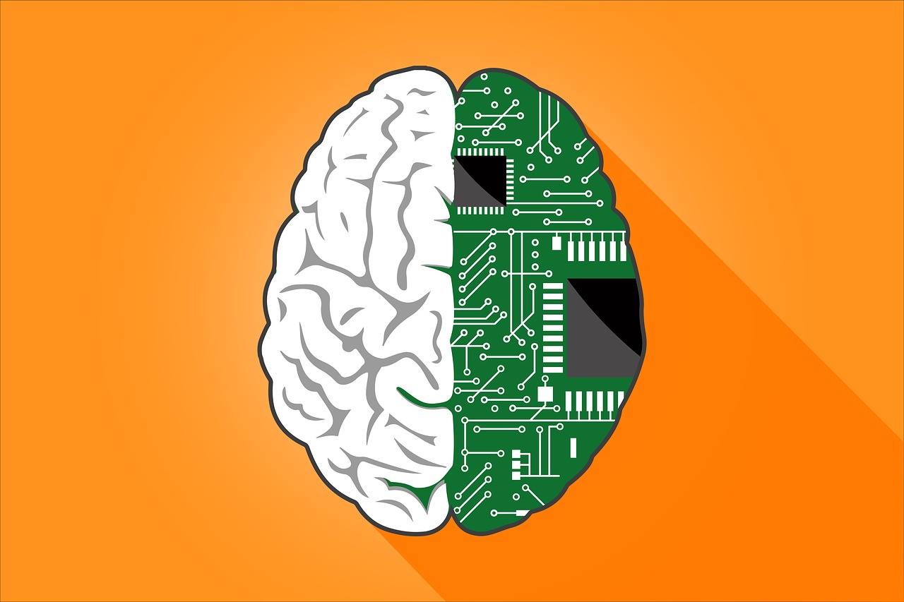 深入解析：心理特征与个体行为的科学分析