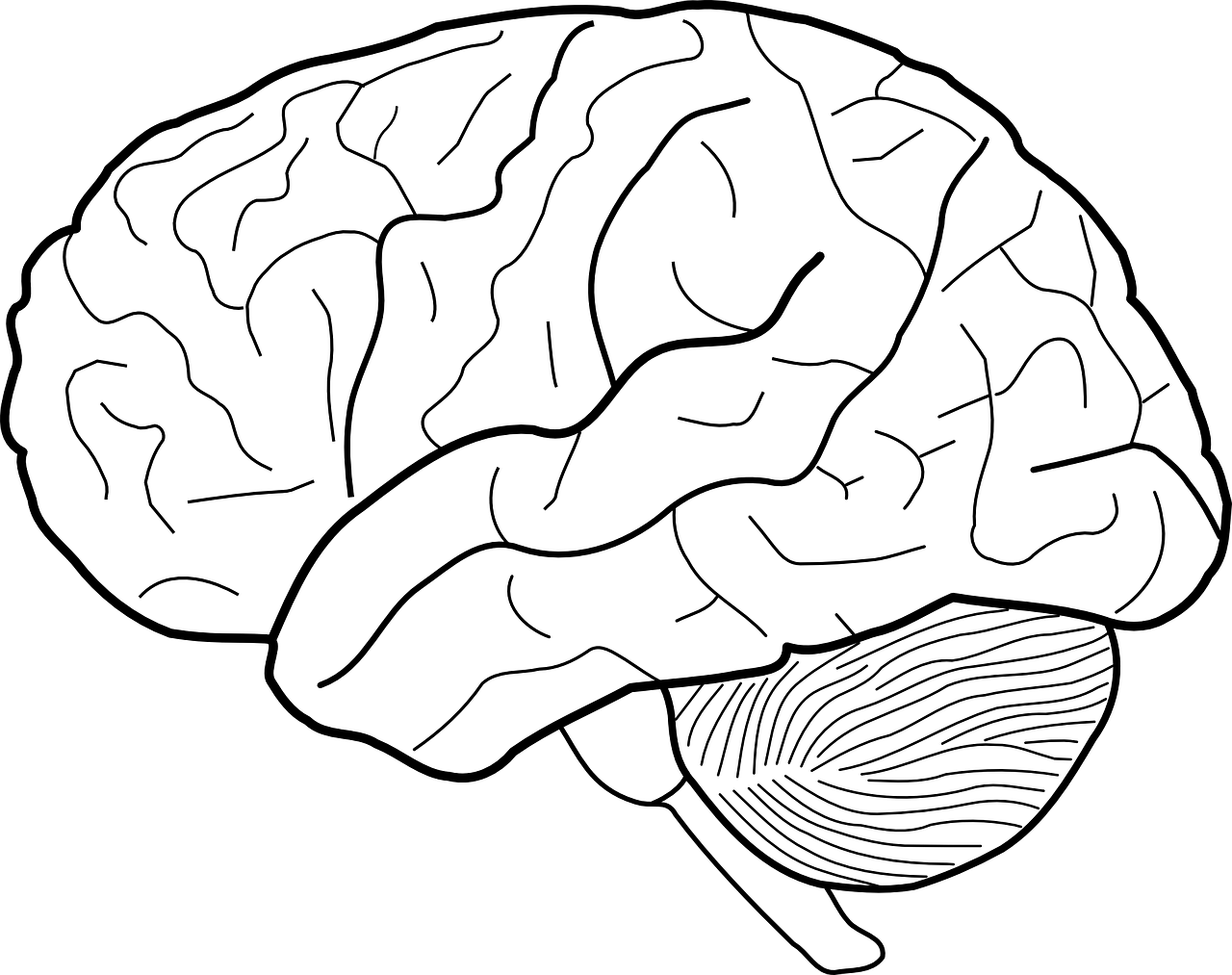 贡和裕 第2页